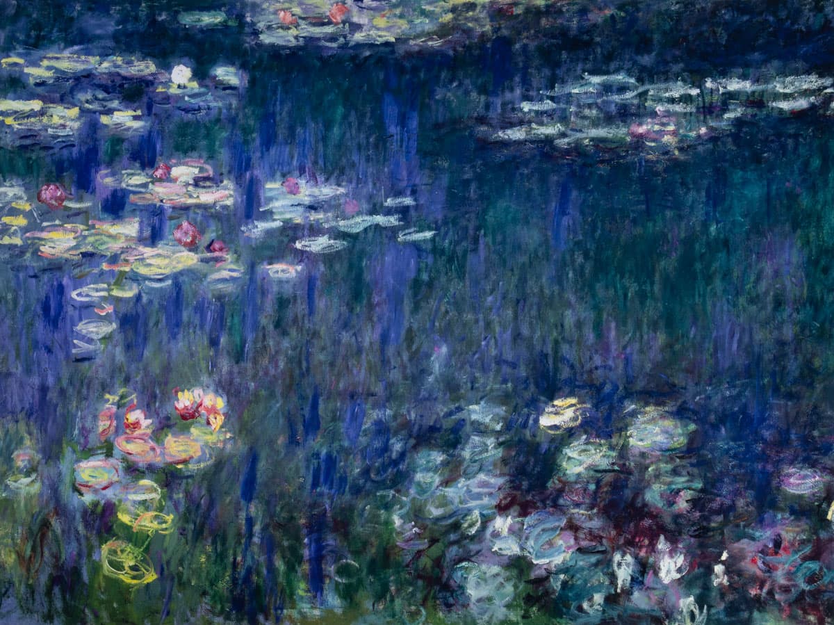 Waterlillies